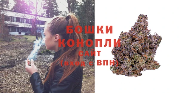 трава Аркадак