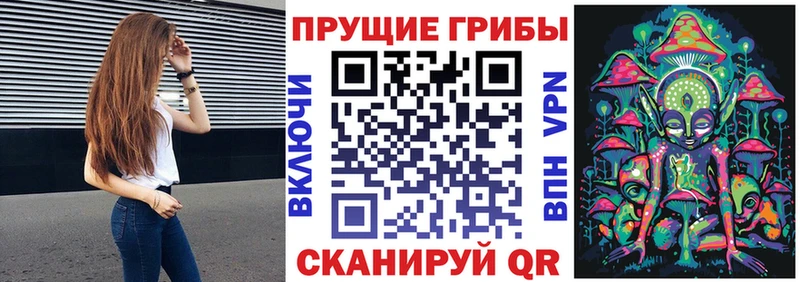 продажа наркотиков  кракен ТОР  Псилоцибиновые грибы прущие грибы  Николаевск 